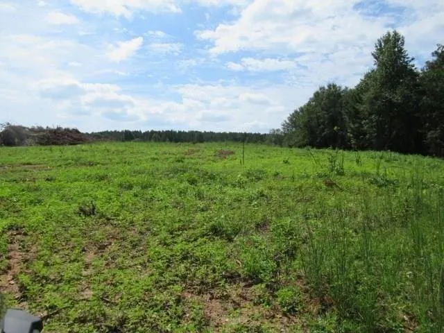 Plot For Sale In Bowdon, Georgia