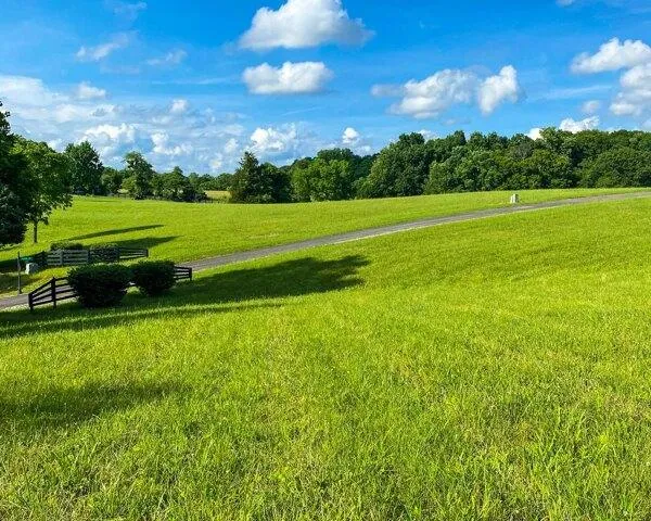 Plot For Sale In Russell Springs, Kentucky