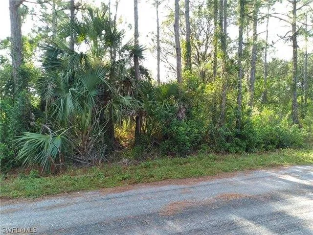 Plot For Sale In Lehigh Acres, Florida