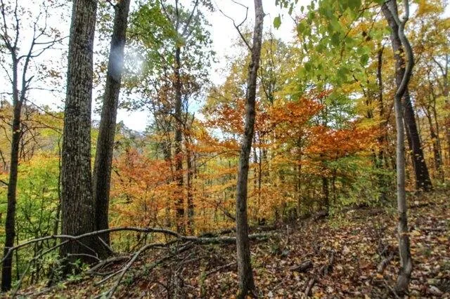 Plot For Sale In Quaker City, Ohio
