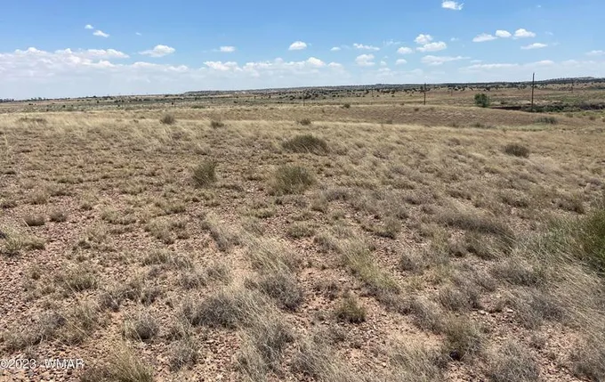 6 County Rd 6031, Saint Johns, AZ 85936 - MLS 247239 for Sale