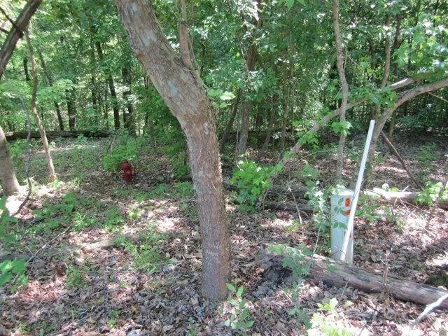 Plot For Sale In Cadiz, Kentucky