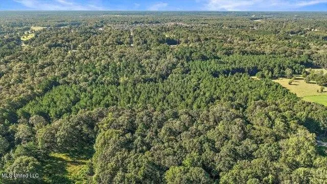 Plot For Sale In Brandon, Mississippi