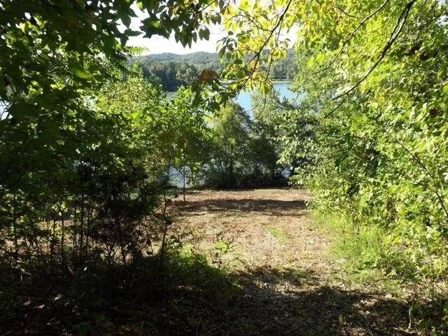 Plot For Sale In Spring City, Tennessee