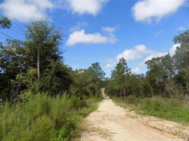 Plot For Sale In Hawthorne, Florida