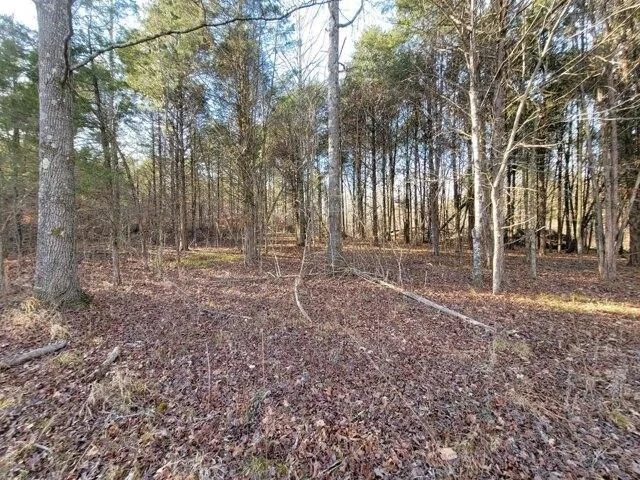 Plot For Sale In Cumberland Furnace, Tennessee
