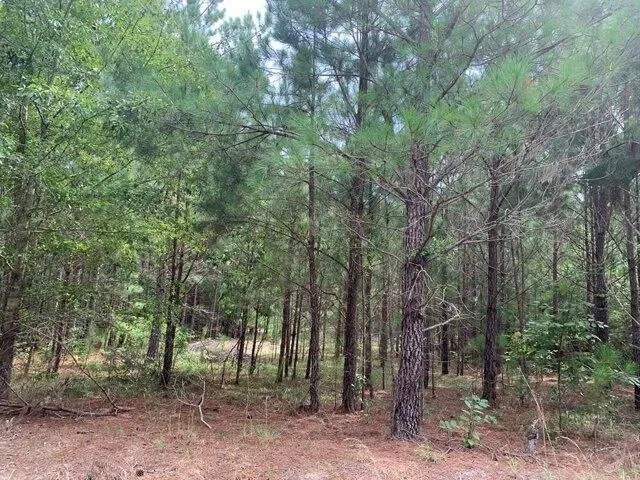 Plot For Sale In Rembert, South Carolina
