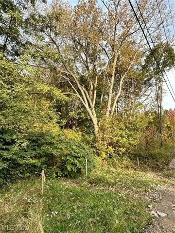 Plot For Sale In Olmsted Township, Ohio