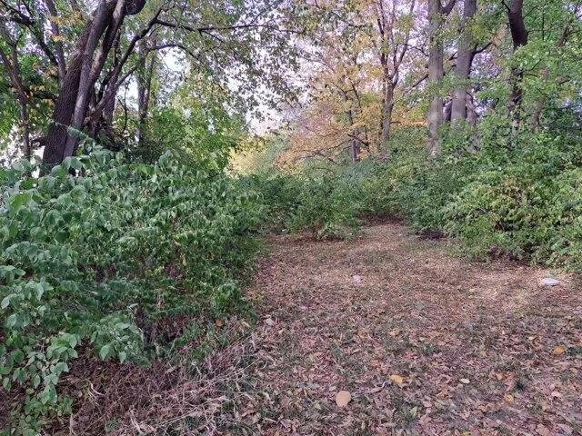 Plot For Sale In Indianapolis, Indiana
