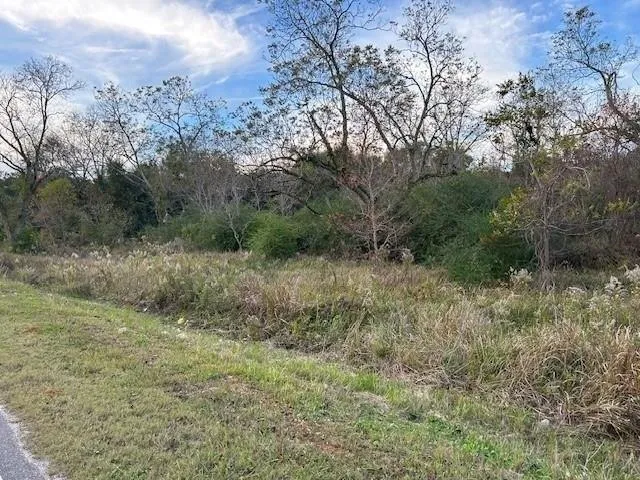 Plot For Sale In Grand Bay, Alabama