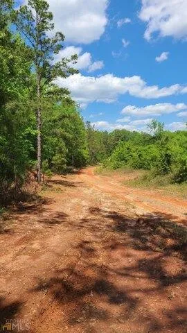 Plot For Sale In Dry Branch, Georgia