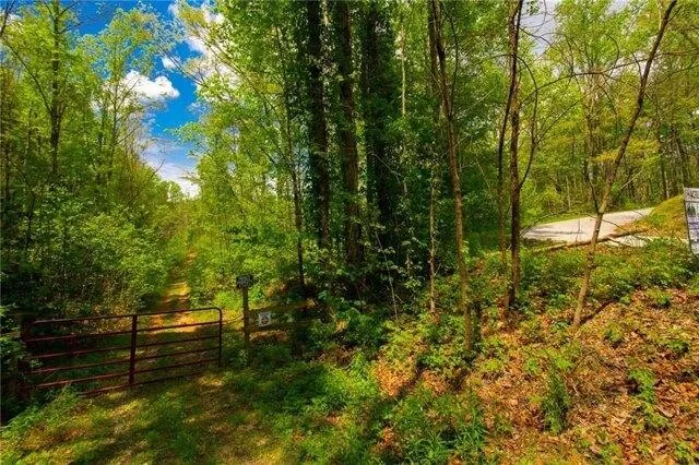 Plot For Sale In Dawsonville, Georgia