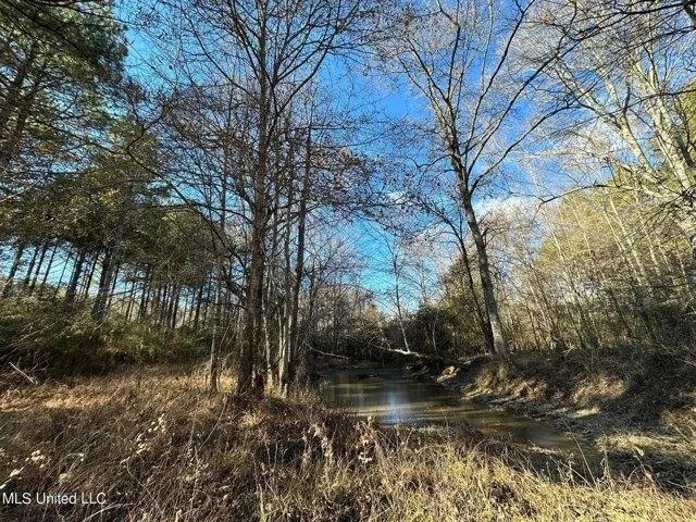 Plot For Sale In Wesson, Mississippi