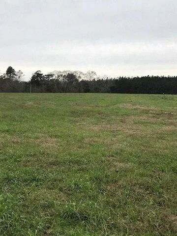Plot For Sale In Poplarville, Mississippi