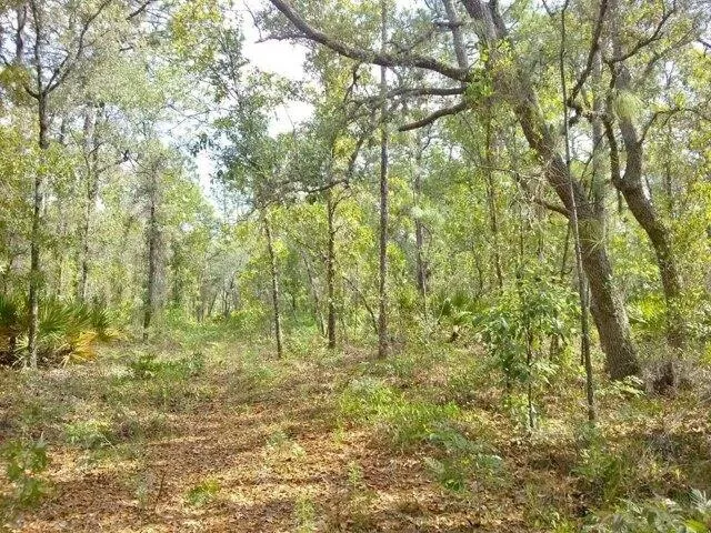 Plot For Sale In Weeki Wachee, Florida