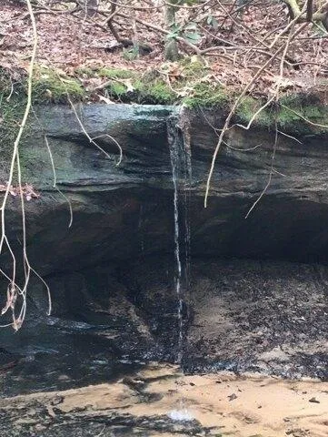 Plot For Sale In Jamestown, Tennessee