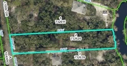 Plot For Sale In Ridge Manor, Florida