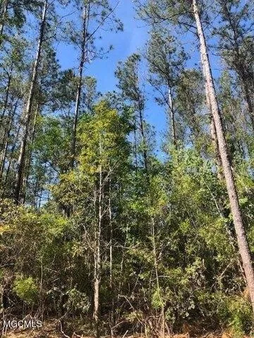 Plot For Sale In Vancleave, Mississippi