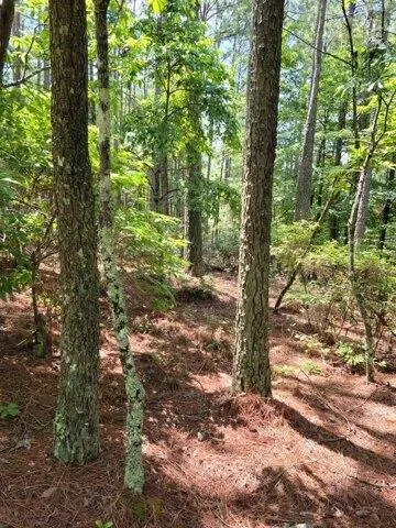 Plot For Sale In Copperhill, Tennessee