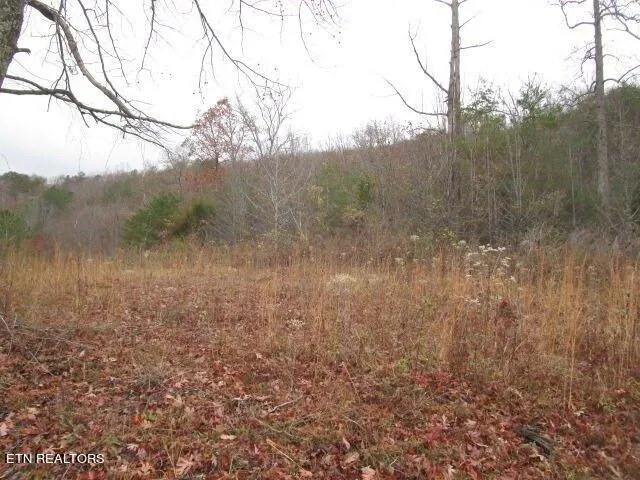 Plot For Sale In Rutledge, Tennessee