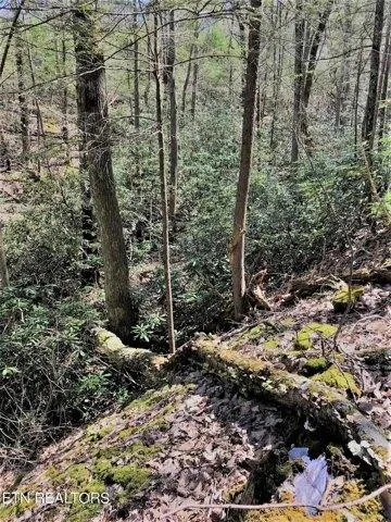 Plot For Sale In Tellico Plains, Tennessee