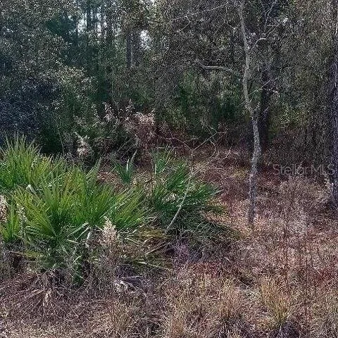 Plot For Sale In Weeki Wachee, Florida