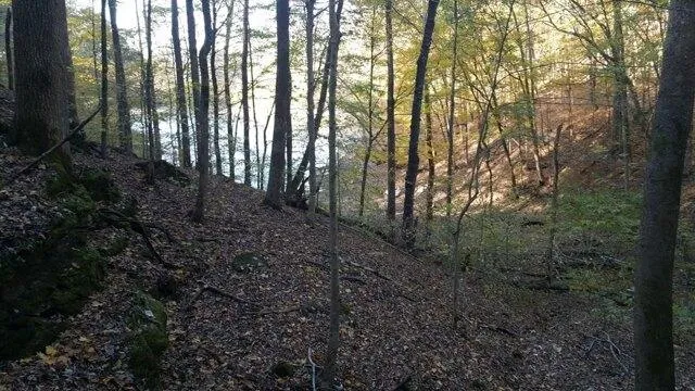 Plot For Sale In Hilham, Tennessee