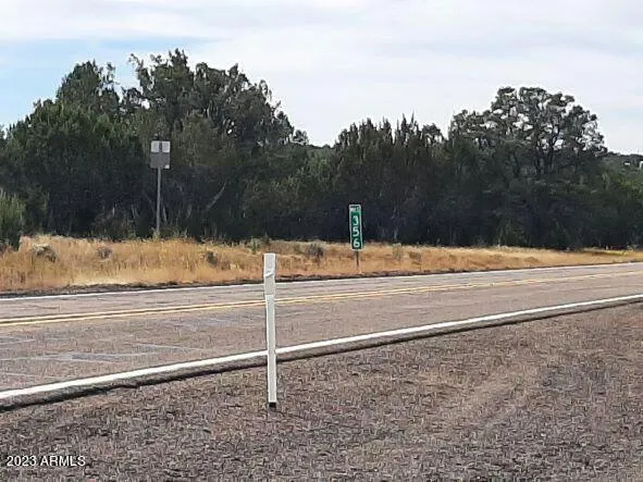 MM356 N SR60 HIGHWAY # 6, Vernon, AZ 85940 Land For Sale  MLS# 6576343 for Rent