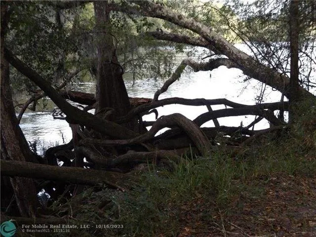 Plot For Sale In Bell, Florida