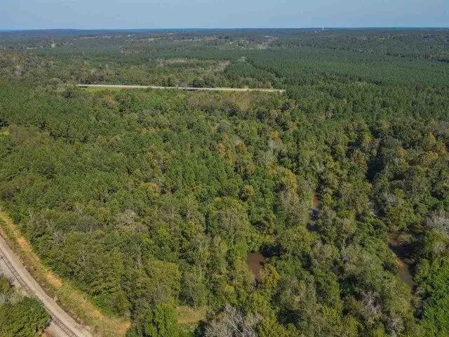 Plot For Sale In Mize, Mississippi