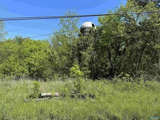 Plot For Sale In Laceys Spring, Alabama