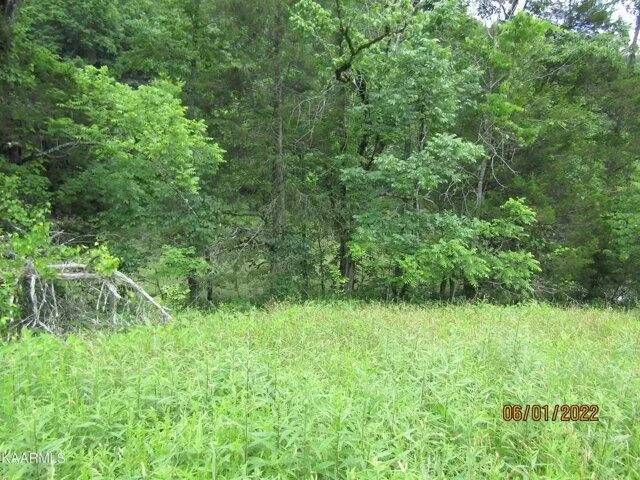Plot For Sale In Tazewell, Tennessee