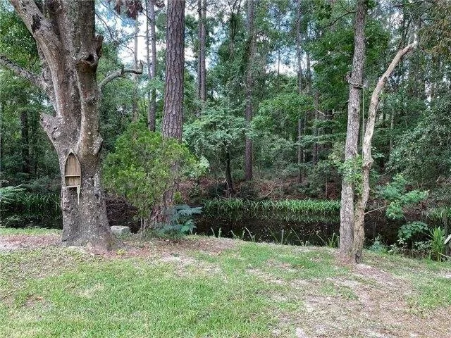 Plot For Sale In Coden, Alabama