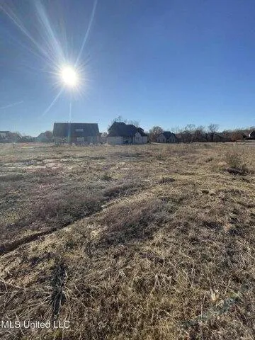 Plot For Sale In Olive Branch, Mississippi