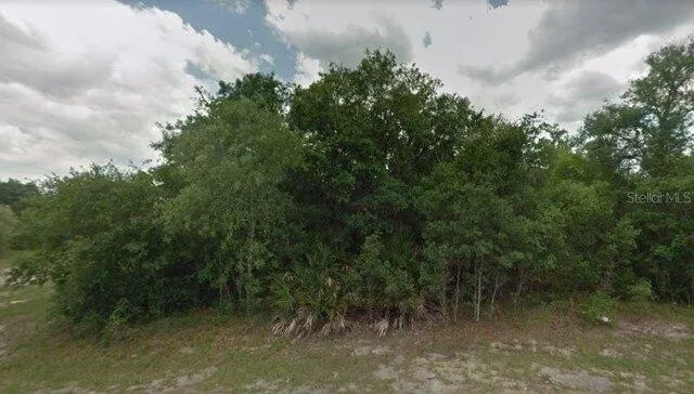 Plot For Sale In Poinciana, Florida