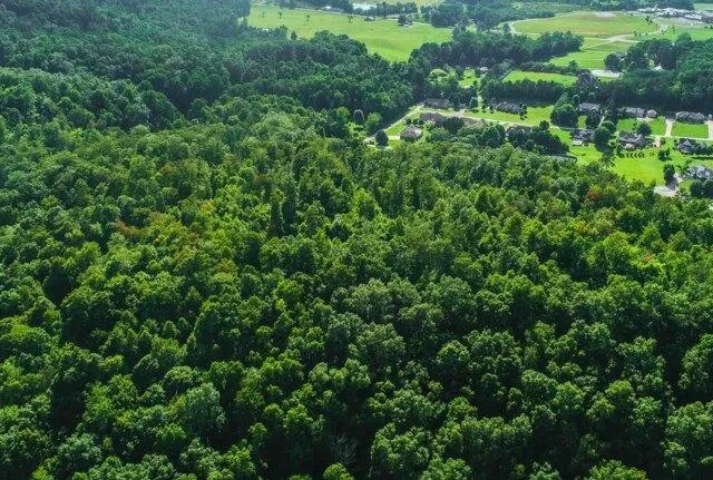 Plot For Sale In Corbin, Kentucky