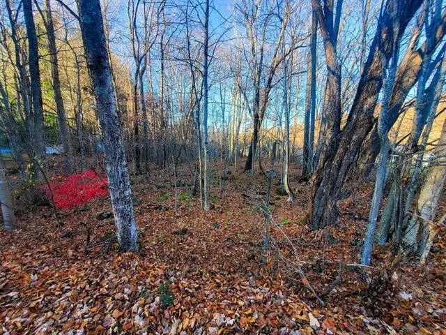Plot For Sale In Roan Mountain, Tennessee