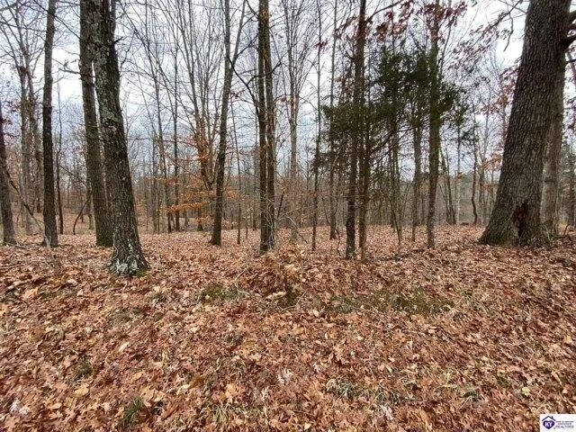 Plot For Sale In Brandenburg, Kentucky