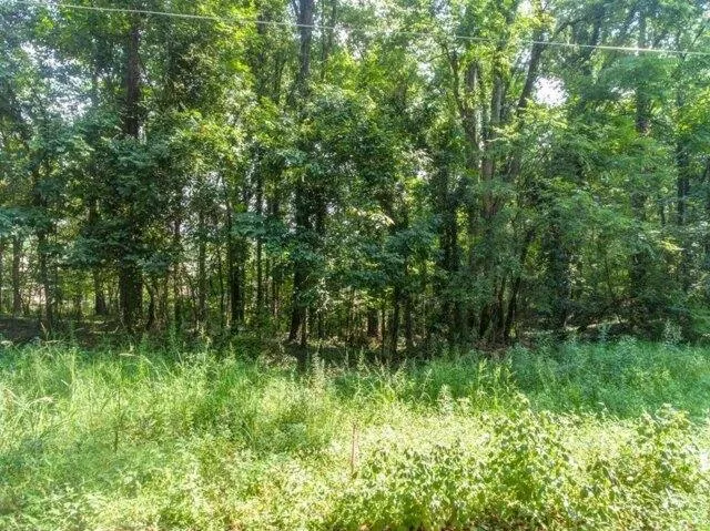 Plot For Sale In Mableton, Georgia