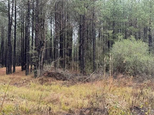 Plot For Sale In Moselle, Mississippi