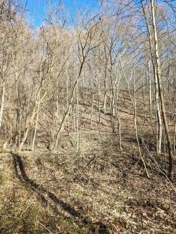 Plot For Sale In Millfield, Ohio