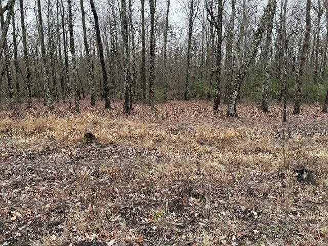 Plot For Sale In Sparta, Tennessee