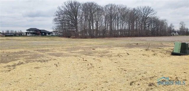Plot For Sale In Sylvania, Ohio