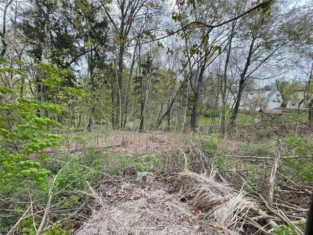 Plot For Sale In Wadsworth, Ohio
