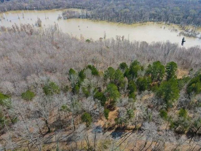 Plot For Sale In Adamsville, Tennessee