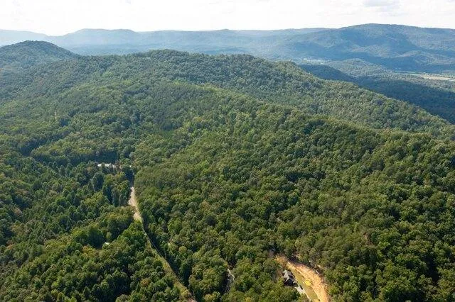Plot For Sale In Tellico Plains, Tennessee