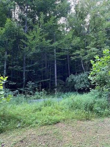 Plot For Sale In Allen, Kentucky