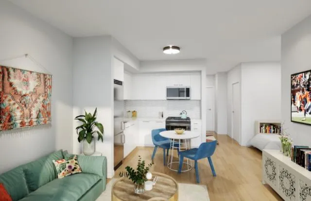 0 bedroom in Chicago IL 60607 for Rent
