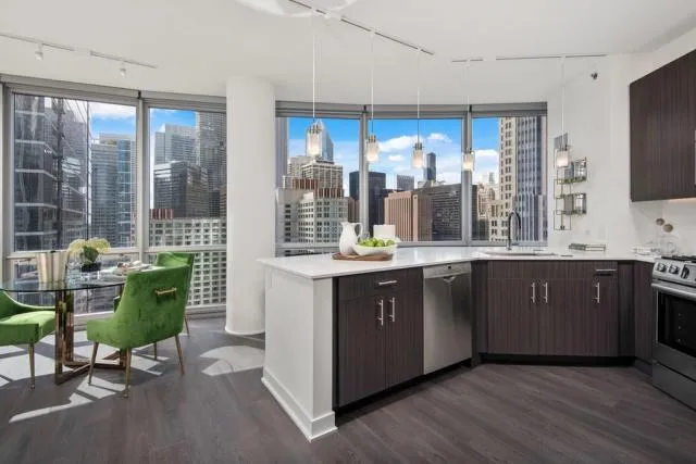 0 bedroom in Chicago IL 60611 for Rent