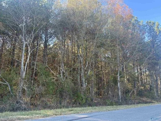 Plot For Sale In Centre, Alabama